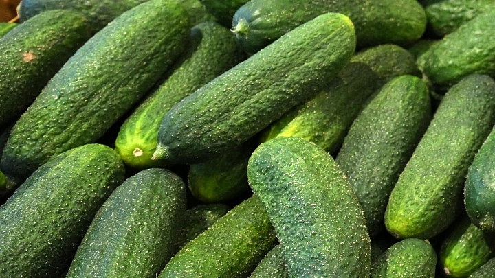В России огурцы подешевели до минимума за полгода